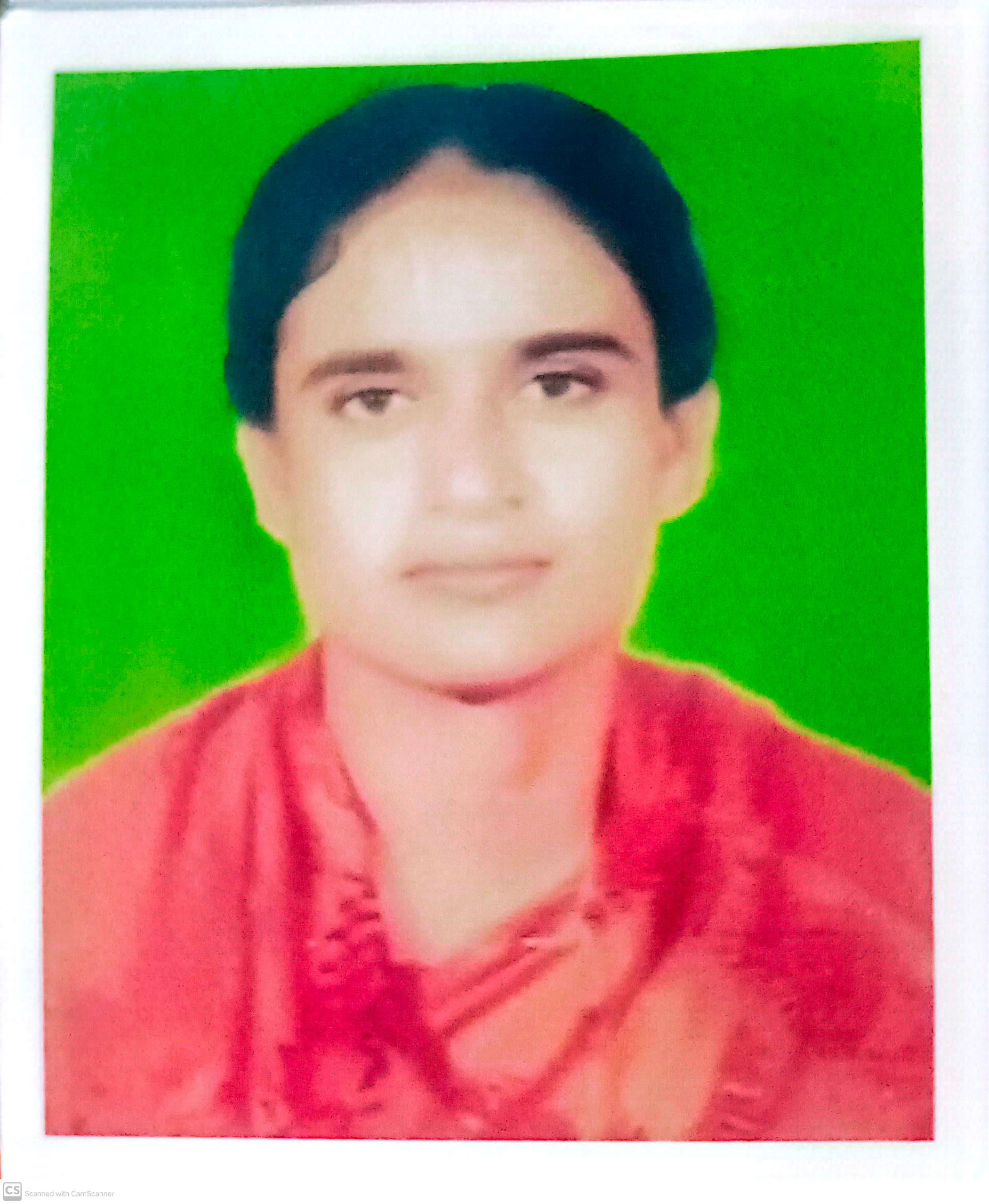 দীনারা ইসলাম